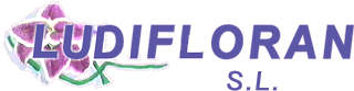 Ludifloran, S.L.